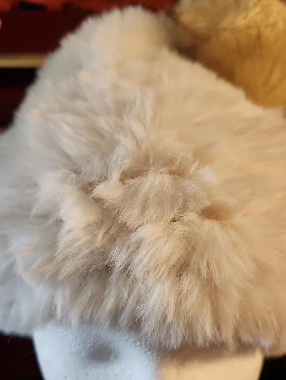 N/A soft cream